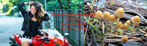 трава Пестово