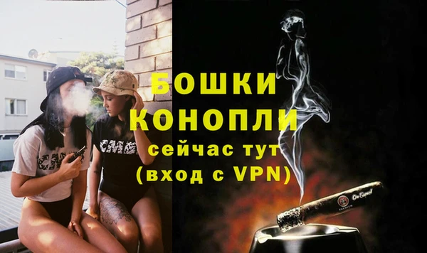 молекула духа Покровск