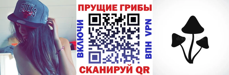 цены наркотик  Светлогорск  Галлюциногенные грибы Psilocybe 