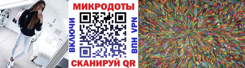 Галлюциногенные грибы Psilocybe Светлогорск